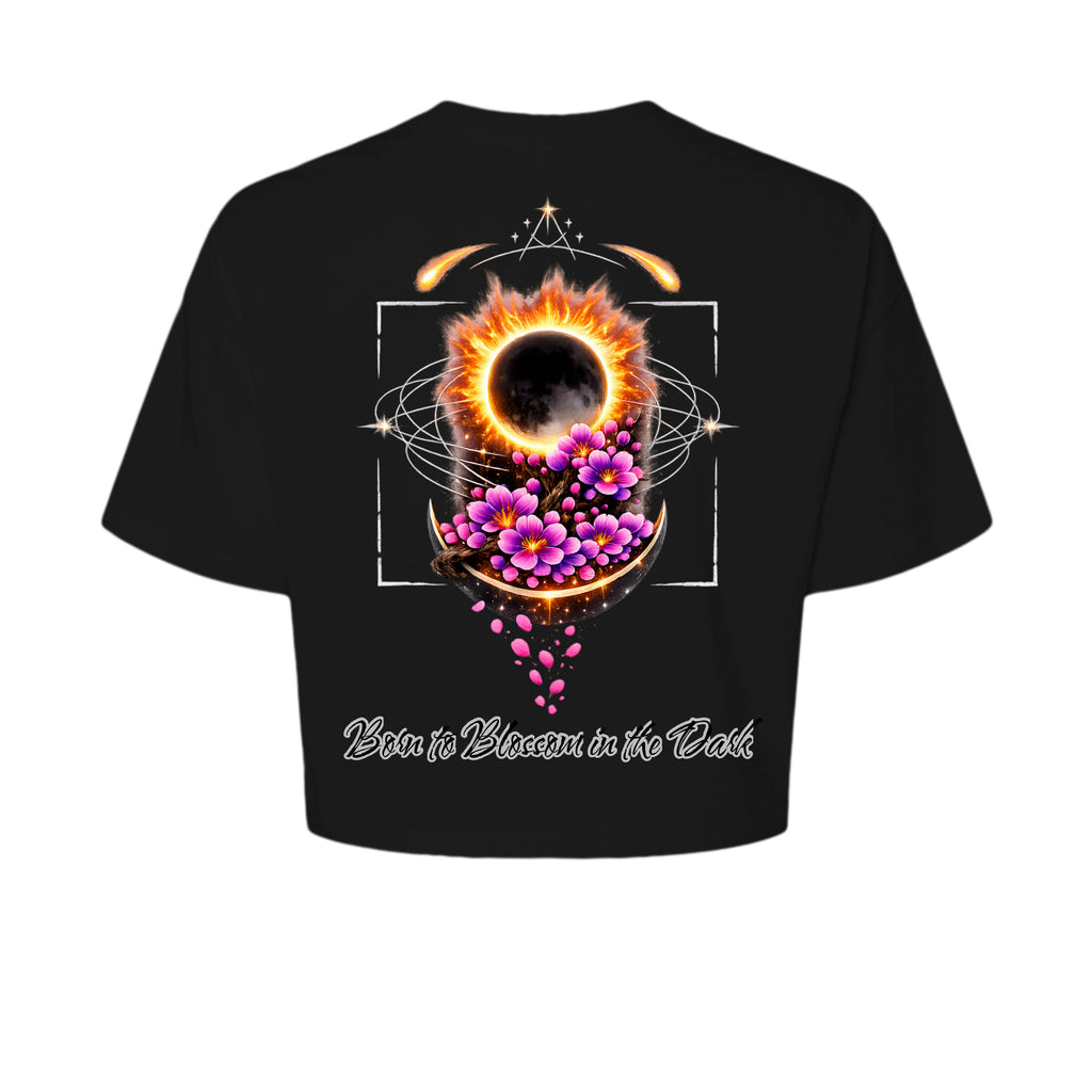 ndm:1133649